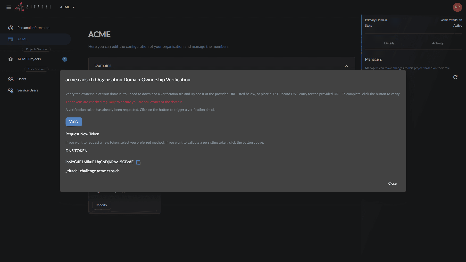 /TheArchive/zitadel/raw/commit/99c5e9e3bd4a7b8d71b22924d38955f78063bb75/docs/static/img/console_org_domain_verify_dns.png